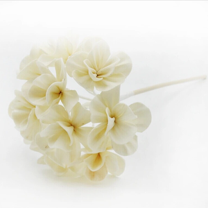 SN008 belleza 10 cabezas de hortensias ramo artesanía flores de sola madera flor para boda <span class=keywords><strong>bar</strong></span> Decoración - Product Image 1