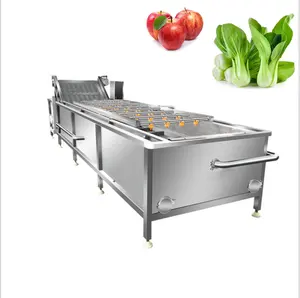 Industrial Continuous Washing and Cleaning Machine Celery/Lettuce/Eggplant/Lobster Air Bubble Washing Machines