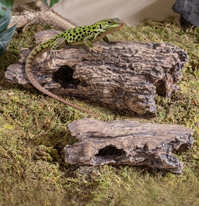 Caverne cachette pour <span class=keywords><strong>reptiles</strong></span> de 8 à 12 pouces de longueur, en ciment, imitation de bois creux, pour cachette d'amphibiens, accessoires pour terrarium de <span class=keywords><strong>reptiles</strong></span>, pour serpents et lézards - Product Image 1