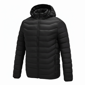 2025 Offre Spéciale chauffant doudounes vers le bas coton chaud hiver hommes veste à capuche - Product Image 1