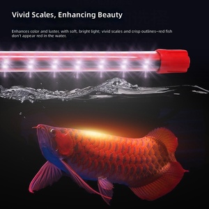 Iluminación LED para Acuarios que Mejora el Color, Tubo de Luz Impermeable para Peceras de Arowana y Pez <span class=keywords><strong>Loro</strong></span>, <span class=keywords><strong>Peces</strong></span> Ornamentales, Múltiples Opciones de Alimentación - Product Image 2