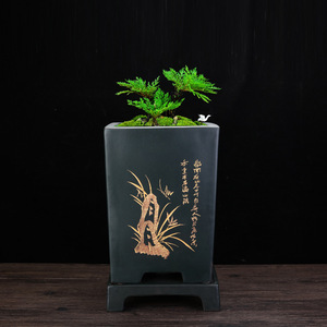 Vaso Grande Quadrato in Argilla Viola Yixing con <span class=keywords><strong>Sottovaso</strong></span>, Fioriera Zisha Intagliata per Clivia, <span class=keywords><strong>Bonsai</strong></span> e Piante Verdi - Product Image 2