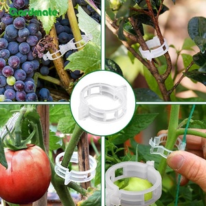 100 clips de soutien pour plantes, pour <span class=keywords><strong>fixer</strong></span> les tomates, les concombres, les légumes, les fleurs, les plantes grimpantes - Product Image 6