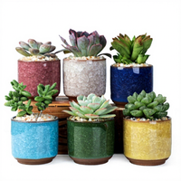 Pot de fleurs respirant effet craquelé, mini jardinière de bureau pour arrangement de plantes succulentes, en céramique colorée et fraîche
