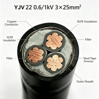 Câble d'alimentation YJV22 0,6/1 kV, 3 conducteurs, 25 mm², cuivre, isolation XLPE, blindage en ruban d'acier, enterrage direct, gaine PVC