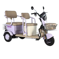 Scooter électrique à 3 roues Powerride 600/800/1000W avec frein à tambour