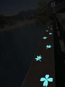 चमकदार चमक गहरे बजरी ड्राइववे फोटोल्यूमिनेसेंट पत्थर बगीचे के ड्राइववे चिंतनशील सामग्री के लिए प्रतिबिंबित करते हैं - Product Image 3