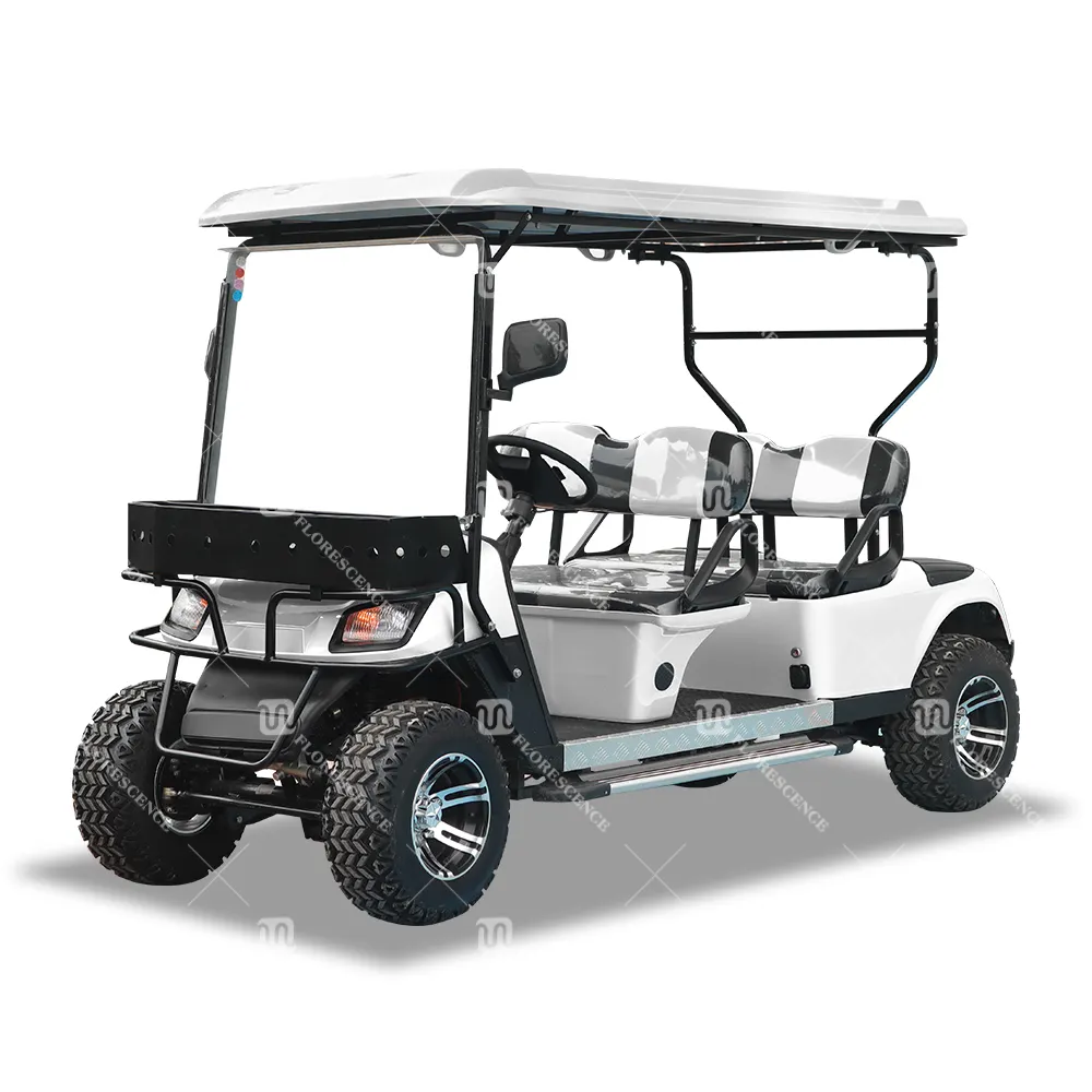 Advanced ev white sport ss roues rue couverture légale 4 places voiturette de golf électrique buggy