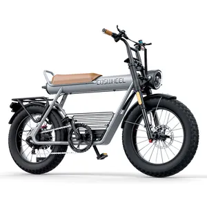 COSWHEEL CT20 48V/750W 1000W Beach Cruiser Ebike Dirt Bike Motorcycle Fat Tire Mountain Electric Bicycle