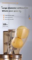 Extracteur de jus lent commercial 2000W, machine à jus de gingembre à gros calibre, fruits, légumes, extracteur automatique 110v 240v 380v