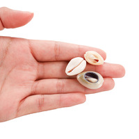 Vente en Gros Coquillages Naturels Caoris Perles Os Charms Beige Gris Perles de Coquillage pour la Fabrication de Bijoux