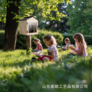 Boîte aux lettres extérieure peut être boîte de rangement d'atlas de <span class=keywords><strong>livre</strong></span> de bricolage boîte d'échange d'affichage de courrier boîte en bois de stockage acrylique - Product Image 3