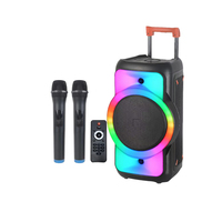 Grands haut-parleurs BT professionnels Système de haut-parleurs de sonorisation portable avec tweeter de 12 "et lumière de fête