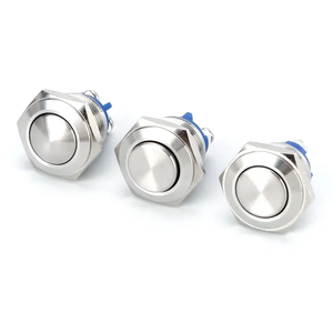 8 мм, 12 мм, 16 мм, 19 мм 22 мм, 25 мм, 30 мм латунь/нержавеющая сталь кнопочный переключатель с/без светодиод Мгновенный/защелкиваемый производитель Китай - Product Image 5