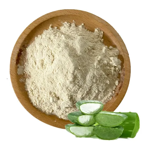 FST Biotec Factory Supply Aloe Vera Extract Powder And 100:1 Aloe Vera Gel Spray Dry Powder