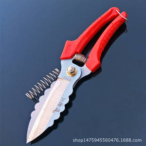 Ciseaux à ail Tian Lao San 5 pouces en acier inoxydable à tête droite, ciseaux de cuisine robustes pour couper les gousses, les racines et les tiges d'ail - Product Image 5