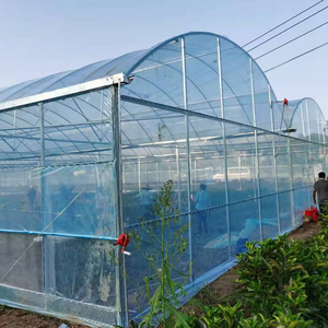 Grande <span class=keywords><strong>serre</strong></span> agricole tropicale multi-chapelles avec structure en acier galvanisé à chaud et bâche en film mince, portée <span class=keywords><strong>de</strong></span> 8 m, facilement assemblable pour - Product Image 1
