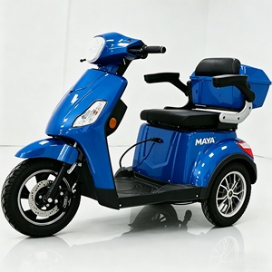 Triciclo Elettrico per Anziani 2026 OEM ODM con Pneumatici Larghi, Tre Ruote e Due Posti - Product Image 4