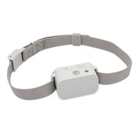 Collier de dressage anti-aboiement pour chien, recharge USB, étanche IPX5, télécommande 300 pieds, sans choc