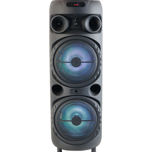 Amplificateur <span class=keywords><strong>de</strong></span> basses avec 2 woofers <span class=keywords><strong>de</strong></span> 8 pouces, micro sans fil, enceinte portable, caixa <span class=keywords><strong>de</strong></span> som, haut-parleur à bas prix - Product Image 1