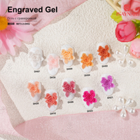 Lampe UV Gel Longue Durée Peinture 3D Vernis à Ongles 30 Couleurs DIY Gel Gravé pour la Beauté Fournisseur d'Ongles Premium