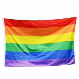 Drapeaux arc-en-ciel colorés en gros, bannières de la paix, drapeaux de la fierté gay, drapeaux LGBT - Product Image 1