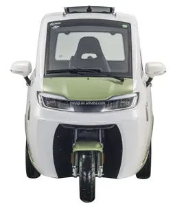 LYLGL mobil motor elektrik roda 3, mobil motor elektrik dengan kabin berkendara/skuter listrik tertutup dengan kursi penumpang/kargo sepeda roda tiga untuk dewasa