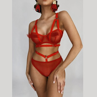 Ensemble de lingerie sexy en maille transparente de haute qualité, sur mesure, pas cher, nouveau, de style européen et américain, Yyu