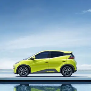 Индивидуальные 2024 новая модель чистый электрический маленький автомобиль 305 км б/у Новый энергетический автомобиль