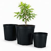 Pot Bunga PP Tahan Lama Grosir dengan Lubang Drainase untuk Menanam Pohon, Modern, Digantung, untuk Penggunaan di Taman Lantai, Warna Hitam