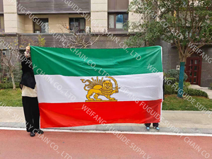 Bandera Personalizada de Alta Calidad de Doble Cara, Bandera Persa Antigua Histórica de Irán con León y Sol, Impresión Digital, Asta de Aluminio, 3x5 Pies - Product Image 6