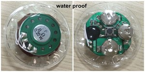 <span class=keywords><strong>Chip</strong></span> âm thanh lập trình <span class=keywords><strong>10</strong></span> 20 giây <span class=keywords><strong>Chip</strong></span> âm thanh ghi cho đồ chơi mini mô-đun âm thanh kích thước nhỏ nhất cho đồ chơi Quà tặng gối sang trọng - Product Image 6