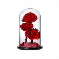 Coffret Luxe 3 Roses Éternelles Sous Cloche en Verre – Décoration Mariage, Noël, Anniversaire, Remise de Diplôme – Lumière LED Intégrée