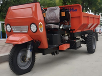 Mini camion agricole à moteur diesel, tricycle, camion benne de 1 à 4 tonnes, 3 pneus, exportation vers le marché africain