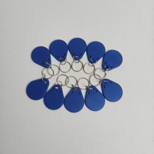 Kit de Sistema de Control de Acceso Biométrico con Teclado Independiente Metálico IP68, Botón de Salida Magnético Eléctrico de 280 kg, Llavero con Chip - Product Image 4