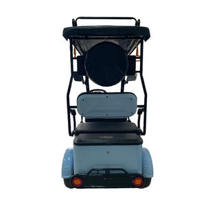 Veículos Elétricos HLD 1000W com Tração nas Quatro Rodas, Scooter de Mobilidade de 60V, Quadriciclo Elétrico para Adultos - Product Image 6