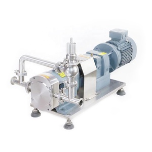 Bomba de Engranajes Rotativos de Acero Inoxidable Sanitaria para Líquidos, Grado Alimenticio, Tratamiento de Agua Potable, Industrial y Farmacéutica - Product Image 6