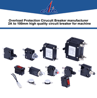 2P 1.25 fois le courant de déclenchement 3.5 ~ 80A disjoncteur hydraulique magnétique thermique facultatif