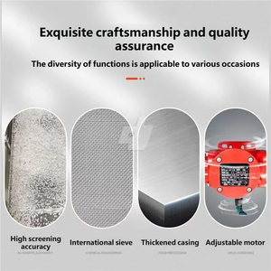 ヘビーデューティーリニア振動スクリーン（2つの振動モーター搭載）メンテナンスフリー、耐用年数20000時間 - Product Image 3