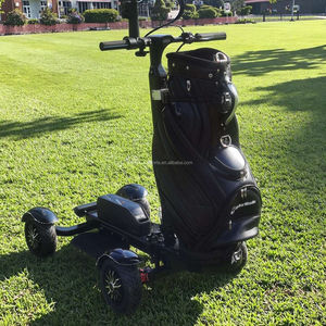 Pour ESWING haute qualité 4 roues gros pneu électrique Golf Scooter pousser chariot moteur sans balais Fairway Runner à vendre - Product Image 4