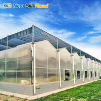 Serre NSR NSR pour jardin domestique, grande taille, cadre en acier galvanisé à chaud naturel, couverture en polycarbonate, adaptée aux climats tropicaux, tailles personnalisables