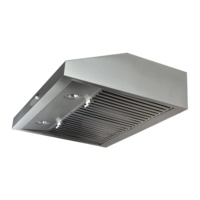Fabriqué en Chine hottes de gamme de filtre de cuisine en acier inoxydable durables professionnelles pour purifier les fumées d'huile