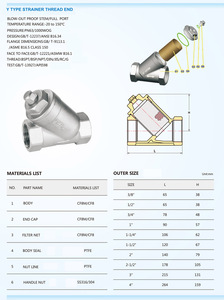 Filtro en Y de Acero Inoxidable DN25 PN16 para Control de Fluidos Industriales - Product Image 6