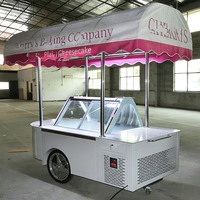 Congélateur mobile à gelato à température unique, portable, à poussée manuelle, avec vitrine