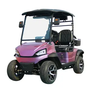 2+2 Seats Electric Lifted Golf Cart Hunting Car With Powerful 5KW AC Motor Controller Electric Golf Cart