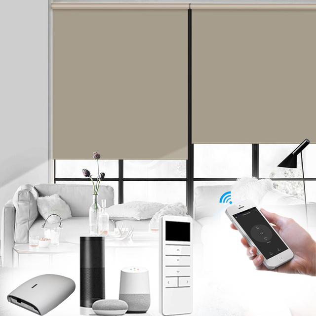 Smart Home Quality Popular Window Motorized Smart Roller Blinds Electric Roller Smart Blinds Shades