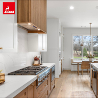Ensemble de meubles de cuisine complet Allandgroup, armoires Shaker, rénovation haut de gamme, meilleures idées de design de cuisine avec plan de travail en quartz