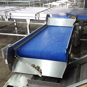 LWT fournit la ligne de production de l'industrie alimentaire machine d'emballage en acier inoxydable transportant le convoyeur à bande <span class=keywords><strong>bleu</strong></span> - Product Image 5