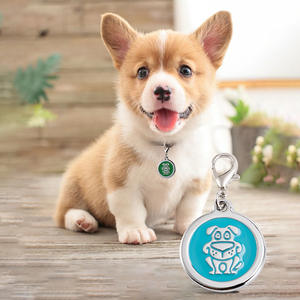 Anneau rond de sécurité pour hommes, étiquette d'identification roi, breloque pour animal de compagnie, porte-clés pour chien - Product Image 6