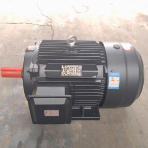 YE3 250M-6 37KW асинхронный двигатель двойного напряжения 380V/660V - Product Image 6